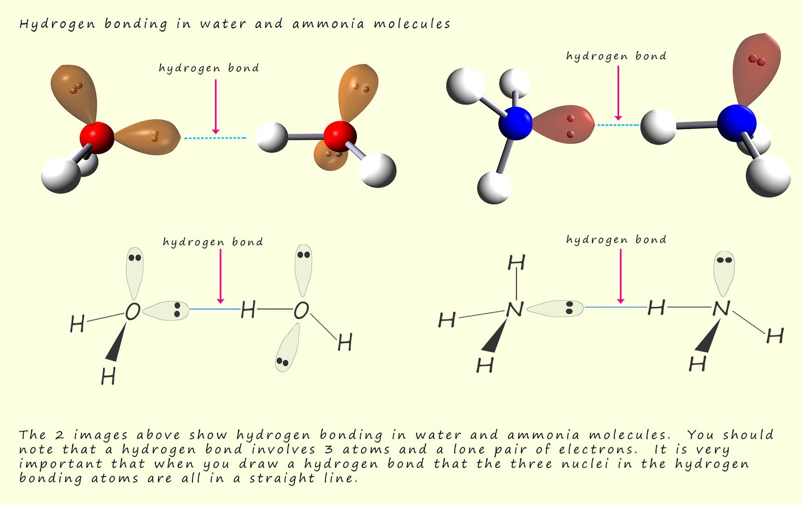 Diagram showing hydrogen bonding in water and ammonia molecules.  It is important that all the atoms and nuclei involved in forming the hydrogen bond are in a straight line.